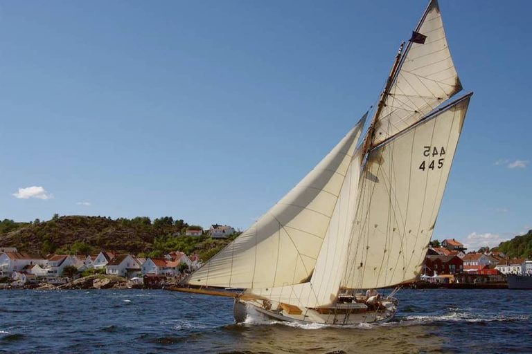 Velsia - participating boat 2023